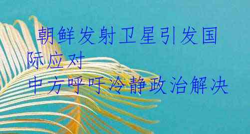  朝鲜发射卫星引发国际应对 中方呼吁冷静政治解决