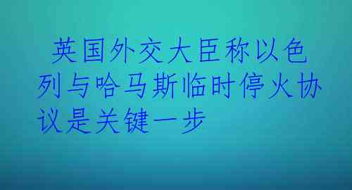  英国外交大臣称以色列与哈马斯临时停火协议是关键一步