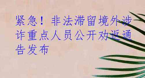 紧急！非法滞留境外涉诈重点人员公开劝返通告发布