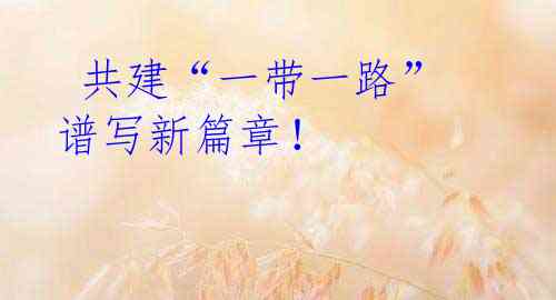  共建“一带一路” 谱写新篇章！