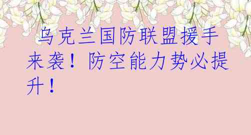  乌克兰国防联盟援手来袭！防空能力势必提升！