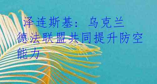  泽连斯基: 乌克兰德法联盟共同提升防空能力