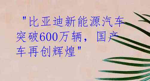  "比亚迪新能源汽车突破600万辆，国产车再创辉煌"