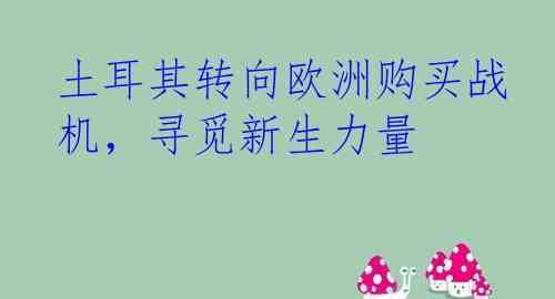 土耳其转向欧洲购买战机，寻觅新生力量