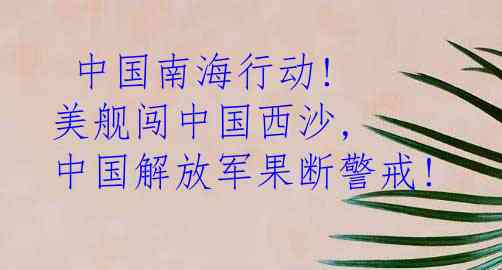  中国南海行动! 美舰闯中国西沙, 中国解放军果断警戒!
