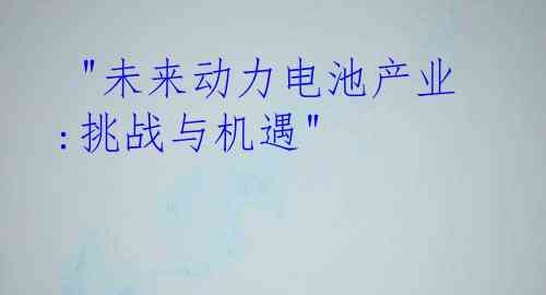  "未来动力电池产业:挑战与机遇"