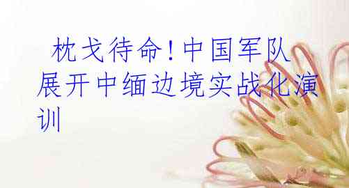  枕戈待命!中国军队展开中缅边境实战化演训