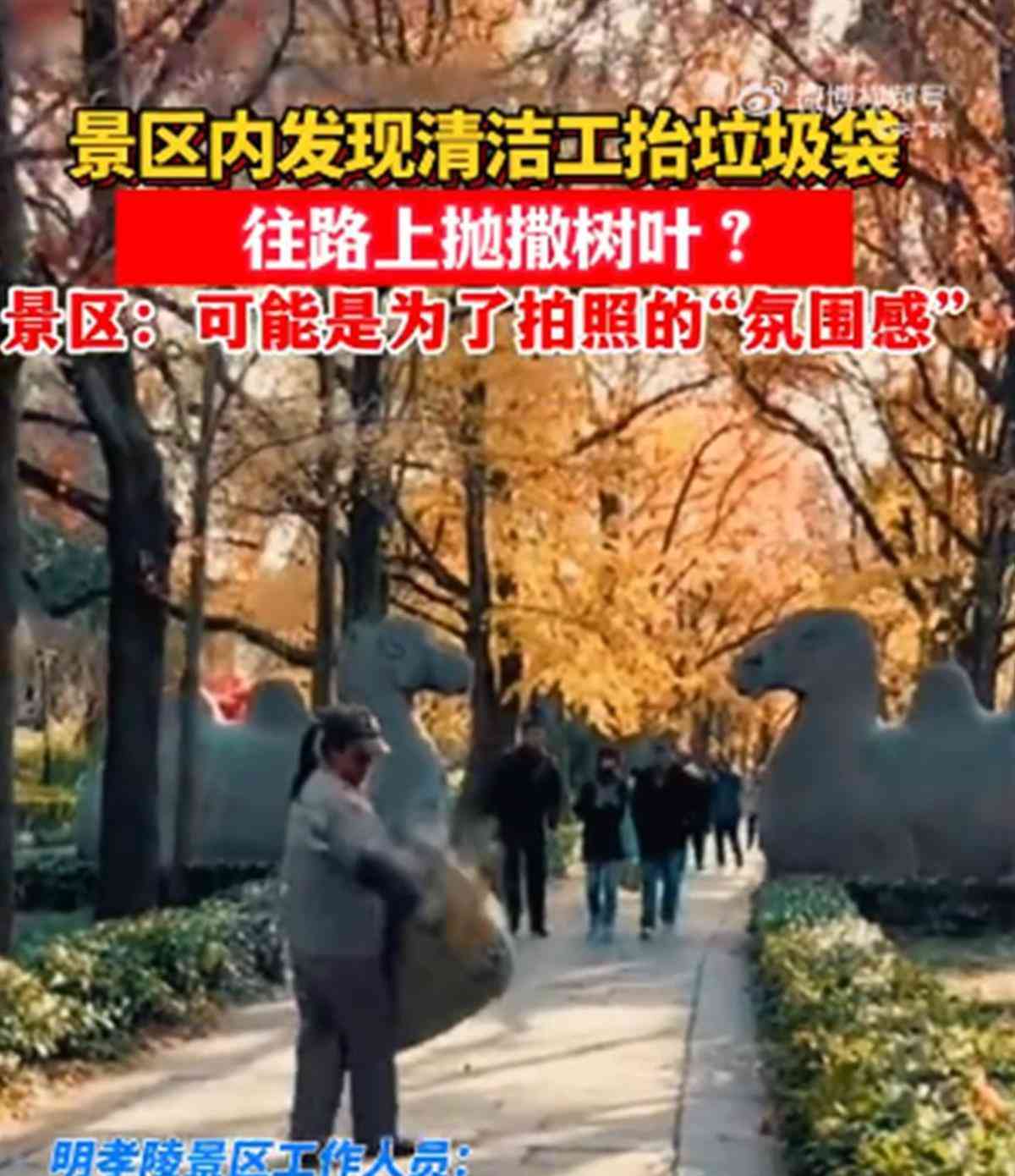  温馨一瞬间！南京明孝陵清洁工撒落叶成佳话