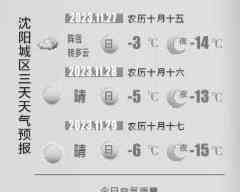  冬日沈阳，雪色初霁，瑞雪兆丰年，路滑需留心