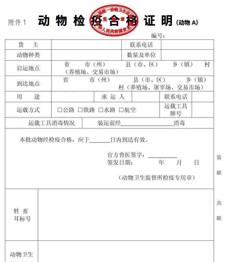  猫宠何去何从：宠物托运面临的挑战