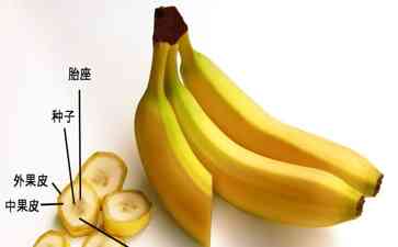  无籽水果,给我一个爽快的理由！