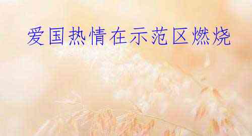  爱国热情在示范区燃烧