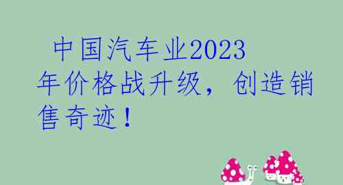  中国汽车业2023年价格战升级，创造销售奇迹！