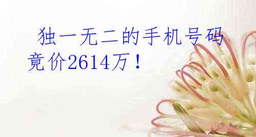  独一无二的手机号码竟价2614万！