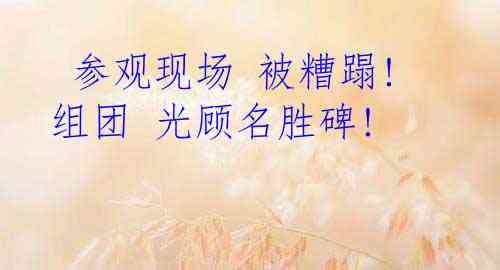  参观现场 被糟蹋! 组团 光顾名胜碑!