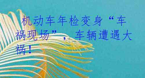  机动车年检变身“车祸现场”，车辆遭遇大祸！