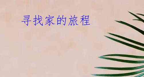 寻找家的旅程