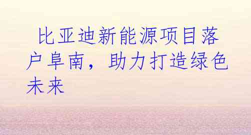  比亚迪新能源项目落户阜南，助力打造绿色未来