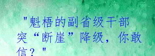  "魁梧的副省级干部突“断崖”降级，你敢信？"
