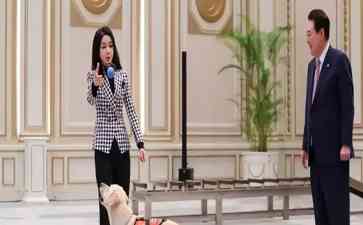  韩国狗肉养殖户威胁放生200万只猎犬，禁令在即！