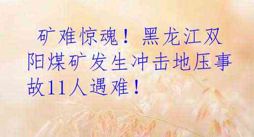  矿难惊魂！黑龙江双阳煤矿发生冲击地压事故11人遇难！