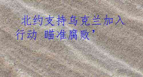  北约支持乌克兰加入行动 瞄准腐败’