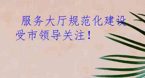  服务大厅规范化建设受市领导关注！