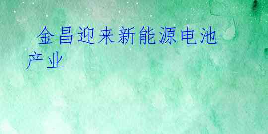  金昌迎来新能源电池产业