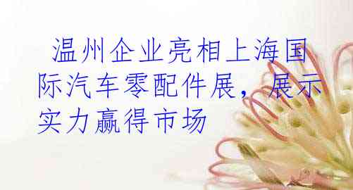  温州企业亮相上海国际汽车零配件展，展示实力赢得市场