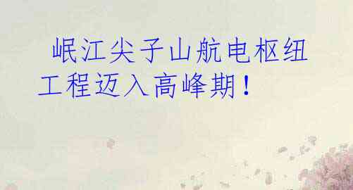  岷江尖子山航电枢纽工程迈入高峰期！