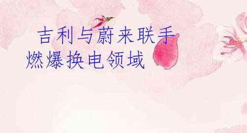  吉利与蔚来联手 燃爆换电领域