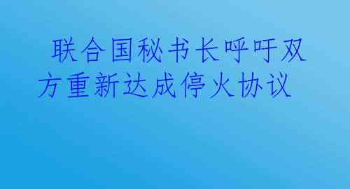  联合国秘书长呼吁双方重新达成停火协议