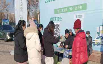  冬日火爆，新能源汽车下乡引狂潮！