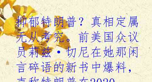 抑郁特朗普？真相定属无从考究。前美国众议员莉兹·切尼在她那闲言碎语的新书中爆料，声称特朗普在2020年输给拜登后，竟然陷