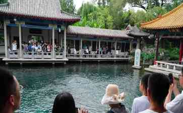  泰山脚下大热，资源联动助推文旅市场回暖