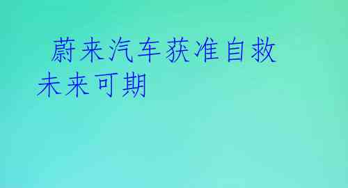 蔚来汽车获准自救 未来可期