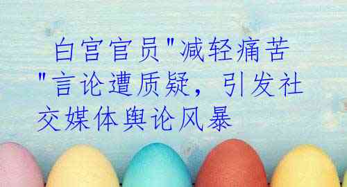  白宫官员"减轻痛苦"言论遭质疑，引发社交媒体舆论风暴