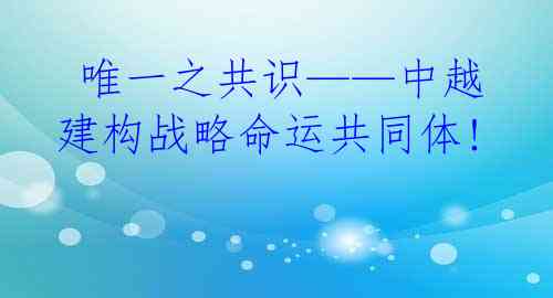  唯一之共识——中越建构战略命运共同体!