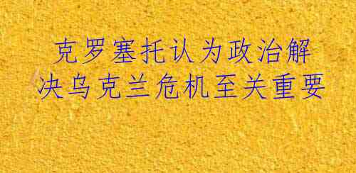  克罗塞托认为政治解决乌克兰危机至关重要