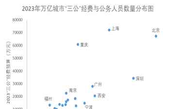  中央经济工作会议：过紧日子成常态，狠抓“三公”经费管理
