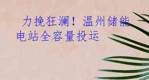  力挽狂澜！温州储能电站全容量投运