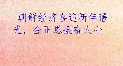  朝鲜经济喜迎新年曙光，金正恩振奋人心