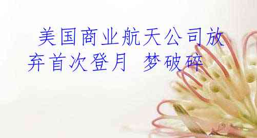  美国商业航天公司放弃首次登月 梦破碎