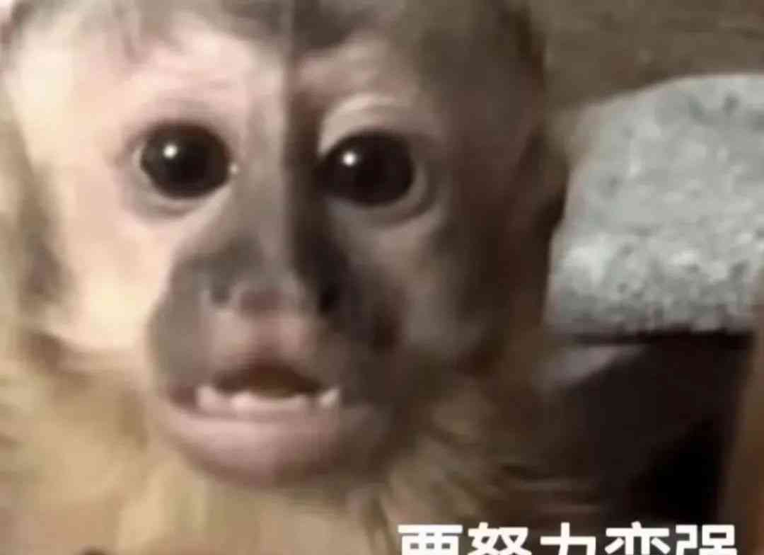  健身六年，我从“胖子”变身“肌肉型男”