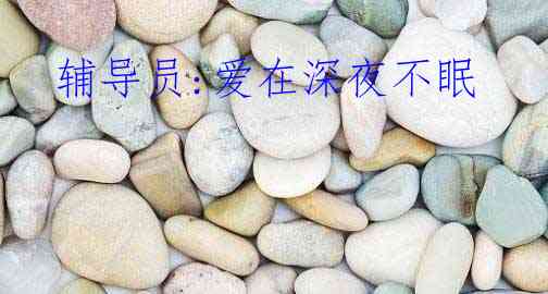  辅导员:爱在深夜不眠