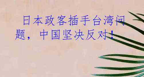  日本政客插手台湾问题，中国坚决反对！