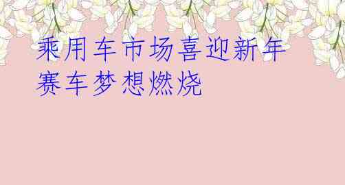 乘用车市场喜迎新年 赛车梦想燃烧