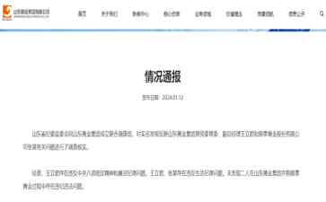山东黄金集团双高管被处理，待解之谜还未揭开