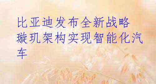 比亚迪发布全新战略 璇玑架构实现智能化汽车