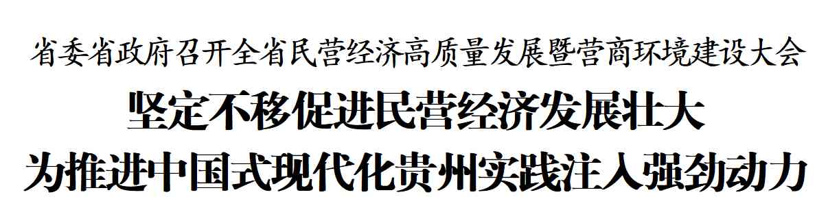  民营经济蓬勃发展，贵州激情启航！